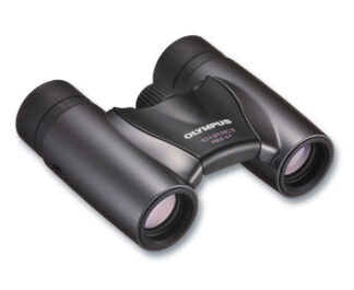 Olympus 10x21 RCII Dark silver